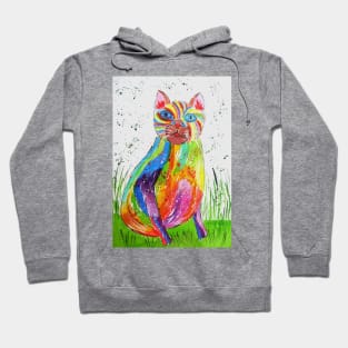 Quirky Colourful Cat Hoodie